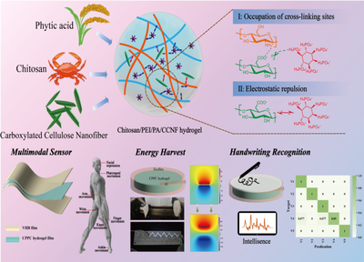 福建農(nóng)林大學(xué)黃彪教授團(tuán)隊在生物質(zhì)先進(jìn)材料研究與開發(fā)方面取得顯著進(jìn)展