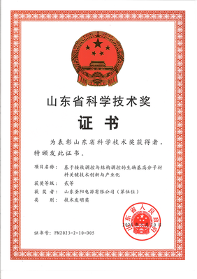 圣陽(yáng)股份聯(lián)合申報(bào)項(xiàng)目榮獲山東省技術(shù)發(fā)明獎(jiǎng)二等獎(jiǎng)