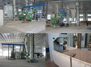 單臺生物質(zhì)顆粒燃料機是不是產(chǎn)能越多越好