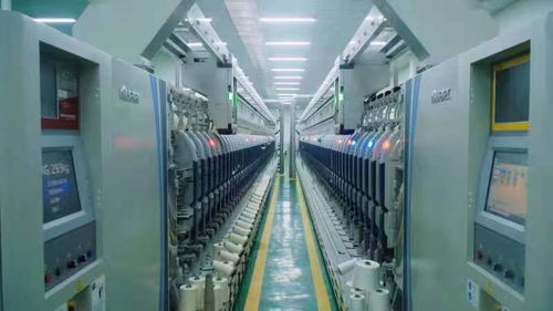 為治理白色污染提供蚌埠方案——記第二屆中國生物基材料產(chǎn)業(yè)發(fā)展大會暨生物基材料技術(shù)研發(fā)新動向